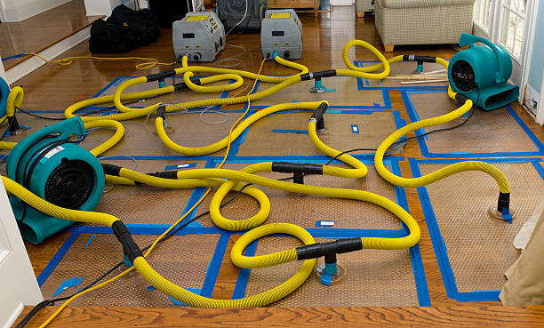 Professional Water Damage Repair technician working in Belmar, NJ
